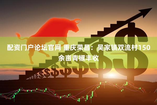 配资门户论坛官网 重庆荣昌：吴家镇双流村150余亩青椒丰收